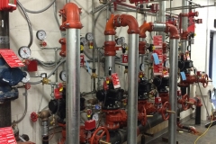 Nitrogen Generator and Double Interlock Preaction Systems