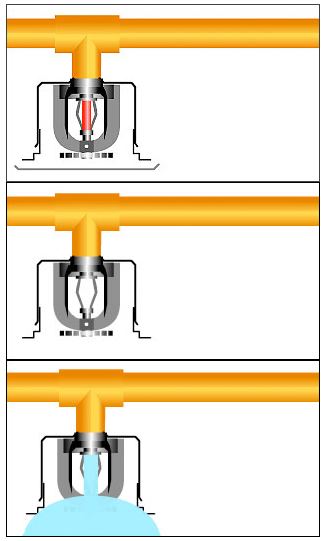 fire sprinkler head diagram